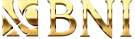 BNI